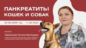 Вебинар «Панкреатиты у кошек и собак»